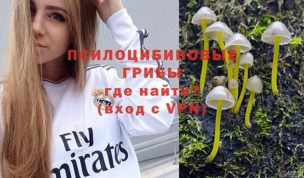 ешки Дмитров