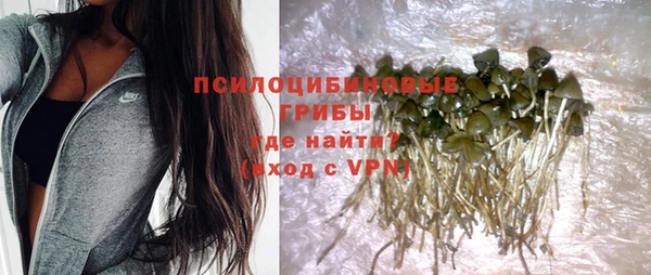 Альфа ПВП Дмитриев