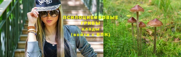 прущая мука Дмитровск