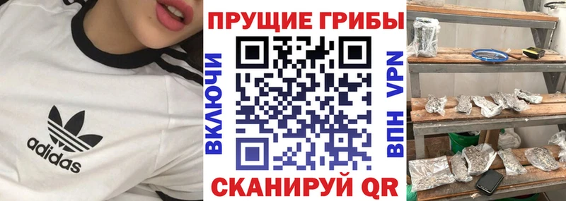 Псилоцибиновые грибы Psilocybine cubensis  Купить закладки  Лесозаводск 